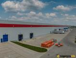 Magazyn do wynajęcia 22247 m² - Robakowo - Magazyny do wynajęcia