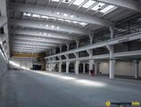 Magazyn do wynajęcia 1400 m² - Warszawa - Magazyny do wynajęcia