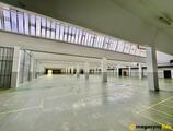 Magazyn do wynajęcia 5676 m² - Łódź - Magazyny do wynajęcia