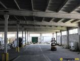 Magazyn do wynajęcia 4942 m² - Hrubieszów - Magazyny do wynajęcia