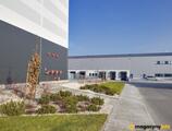 Magazyn do wynajęcia 11237 m² - Ożarów Mazowiecki - Magazyny do wynajęcia