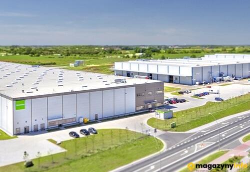 Magazyn do wynajęcia 19400 m² - Wrocław - Magazyny do wynajęcia