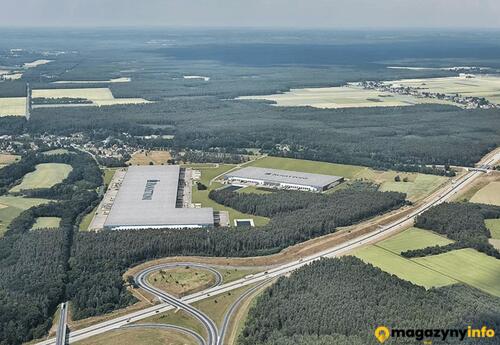 Magazyn do wynajęcia 181500 m² - Dąbrowa Bolesławiecka - Magazyny do wynajęcia