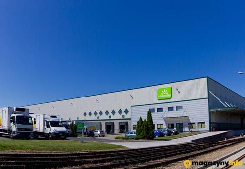 Magazyn do wynajęcia 3600 m² - Teresin - Magazyny do wynajęcia