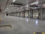 Magazyn do wynajęcia 15120 m² - Stare Gnatowice - Magazyny do wynajęcia