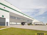 Magazyn do wynajęcia 31628 m² - Młochów - Magazyny do wynajęcia