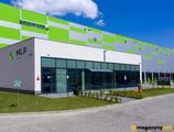 Magazyn do wynajęcia 20400 m² - Dąbrówka - Magazyny do wynajęcia