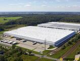 Magazyn do wynajęcia 3600 m² - Teresin - Magazyny do wynajęcia