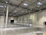 Magazyn do wynajęcia 8026 m² - Warszawa - Magazyny do wynajęcia