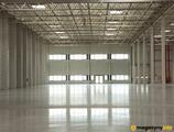 Magazyn do wynajęcia 32089 m² - Gliwice - Magazyny do wynajęcia