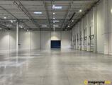 Magazyn do wynajęcia 8026 m² - Warszawa - Magazyny do wynajęcia