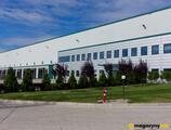 Magazyn do wynajęcia 3600 m² - Teresin - Magazyny do wynajęcia