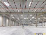 Magazyn do wynajęcia 10620 m² - Wypędy - Magazyny do wynajęcia