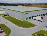 Magazyn do wynajęcia 15120 m² - Stare Gnatowice - Magazyny do wynajęcia