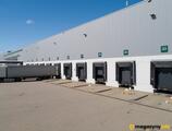 Magazyn do wynajęcia 31628 m² - Młochów - Magazyny do wynajęcia