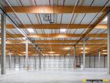 Magazyn do wynajęcia 32830 m² - Duchnów - Magazyny do wynajęcia