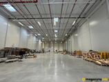 Magazyn do wynajęcia 1564 m² - Warszawa - Magazyny do wynajęcia