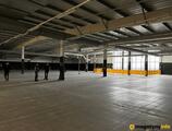 Magazyn do wynajęcia 580 m² - Łomianki - Magazyny do wynajęcia