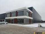 Magazyn do wynajęcia 10620 m² - Wypędy - Magazyny do wynajęcia