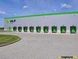 Magazyn do wynajęcia 15120 m² - Stare Gnatowice - Magazyny do wynajęcia