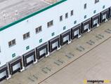 Magazyn do wynajęcia 19708 m² - Rokszyce - Magazyny do wynajęcia
