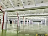 Magazyn do wynajęcia 5676 m² - Łódź - Magazyny do wynajęcia