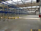 Magazyn do wynajęcia 3773 m² - Łódź - Magazyny do wynajęcia