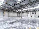 Magazyn do wynajęcia 1740 m² - Brzeg - Magazyny do wynajęcia