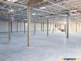 Magazyn do wynajęcia 12855 m² - Przecław - Magazyny do wynajęcia