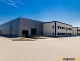 Magazyn do wynajęcia 5236 m² - Chocicza Mała - Magazyny do wynajęcia