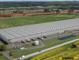Magazyn do wynajęcia 81112 m² - Wielistowo - Magazyny do wynajęcia