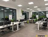 Magazyn do wynajęcia 57115 m² - Września - Magazyny do wynajęcia