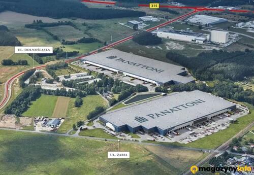 Magazyn do wynajęcia 100100 m² - Nowa Sól - Magazyny do wynajęcia